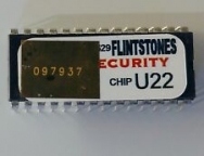 Security PIC Chip - Flintstones (correct WMS program)