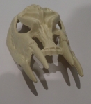 Boney Ramp Skull 31-2577