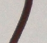 Wire 18 AWG Brown w/Black Stripe HW-30018-10 (10 Foot Length)