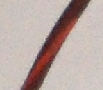 Wire 18 AWG Brown w/Orange Stripe HW-30018-13 (10 Foot Length)