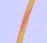 Wire 22 AWG Yellow w/Orange Stripe CW-30022-43 (10 Foot Length)
